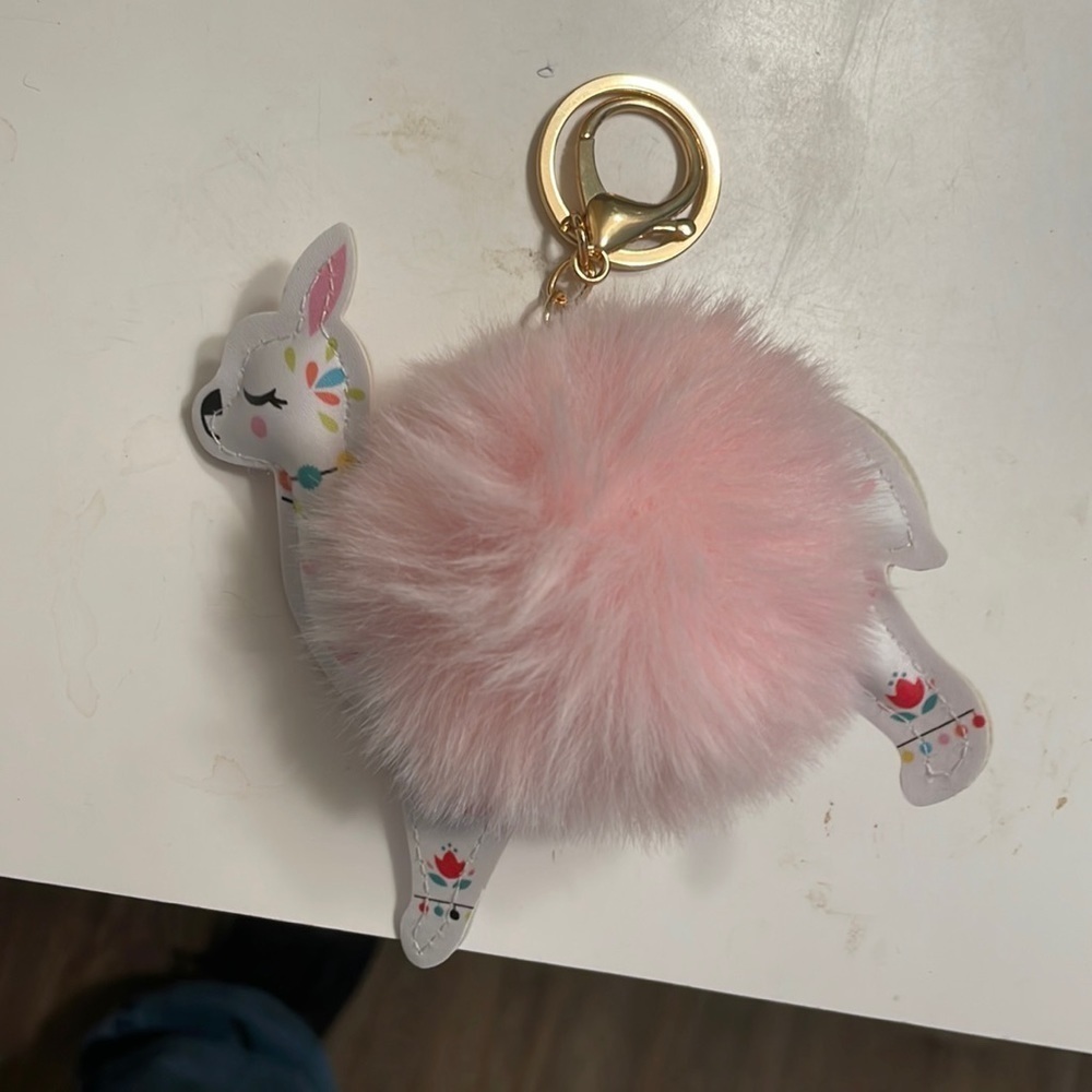 Key ring for purse